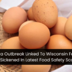 Salmonella Outbreak Linked To Wisconsin Farm Eggs: 65 Sickened In Latest Food Safety Scare