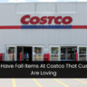 8 Must-Have Fall Items At Costco That Customers Are Loving