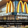 The Return Of McDonald's McRib In 2024: What You Need To Know