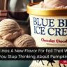 Blue Bell Has A New Flavor For Fall That Will Make You Stop Thinking About Pumpkin