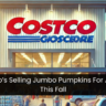 Costco’s Selling Jumbo Pumpkins For A Steal This Fall