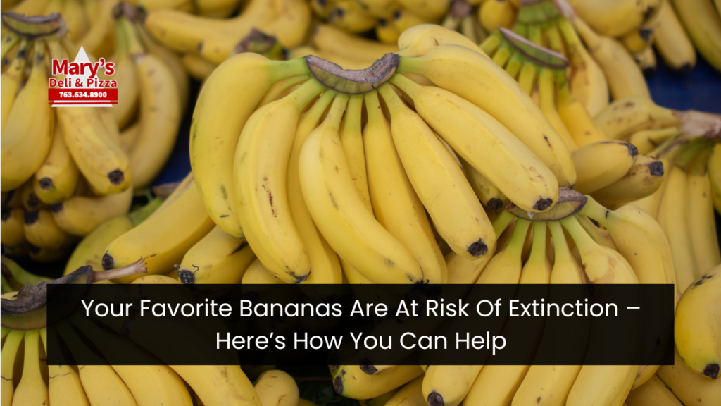 Your Favorite Bananas Are At Risk Of Extinction – Here’s How You Can Help