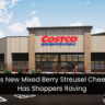 Costco’s New Mixed Berry Streusel Cheesecake Has Shoppers Raving