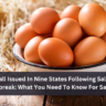 Egg Recall Issued In Nine States Following Salmonella Outbreak: What You Need To Know For Safety