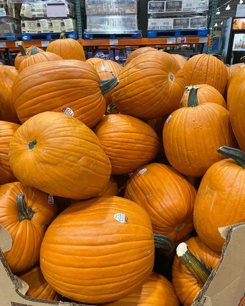 Costco’s Selling Jumbo Pumpkins For A Steal This Fall